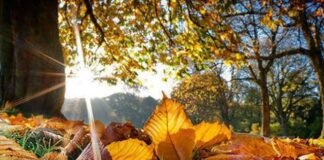 სინოპტიკოსების პროგნოზით, პირველ დეკემბრამდე საქართველოში შენარჩუნებული იქნება უმეტესად უნალექო ამინდი, ხოლო პირველი დეკემბრიდან ზოგან გაწვიმდება