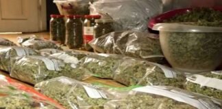 პოლიციამ განსაკუთრებით დიდი ოდენობით სხვადასხვა სახის ნარკოტიკი ამოიღო – დაკავებულია სამი პირი