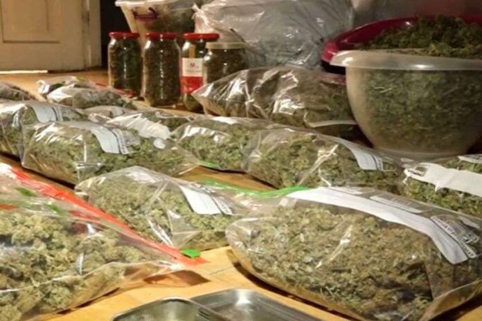 imedi-poto-2025-11-09t104836-827