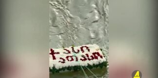 ,,ქრონიკის” დაიჯესტი 15.11.2025