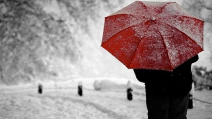 605242267_1489605176506701_3518743554619124950_n