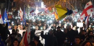 „შეკრებებისა და მანიფესტაციების შესახებ კანონში ხორციელდება, რომელიც პარლამენტს „ქართული ოცნების“ დეპუტატებმა წარუდგინეს