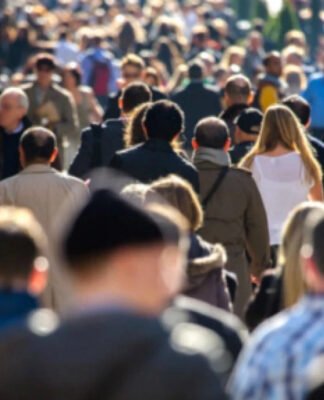 2026 წლიდან სოციალურად დაუცველების დასაქმების სახელმწიფო პროგრამა აღარ გაგრძელდება