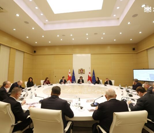 პრემიერ-მინისტრს შვეიცარიელმა ექსპერტმა მყინვარული ხეობების კვლევის შედეგები გააცნო