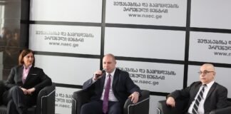 შეფასებისა და გამოცდების ეროვნული ცენტრის ხელმძღვანელად თამარ მემანიშვილი დაინიშნა