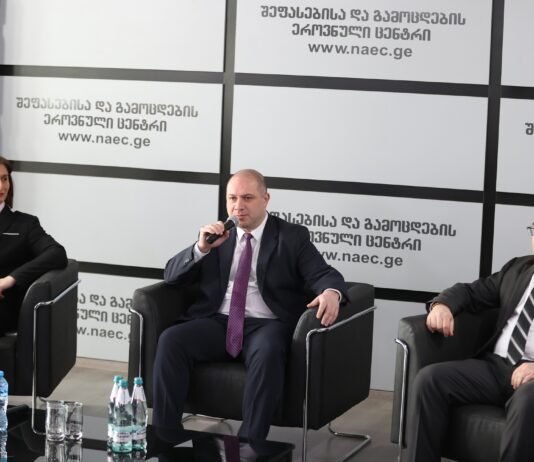 შეფასებისა და გამოცდების ეროვნული ცენტრის ხელმძღვანელად თამარ მემანიშვილი დაინიშნა