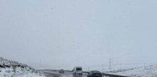 საავტომობილო გზების დეპარტამენტი გზებზე არსებულ ვითარებასთან დაკავშირებით ინფორმაციას ავრცელებს