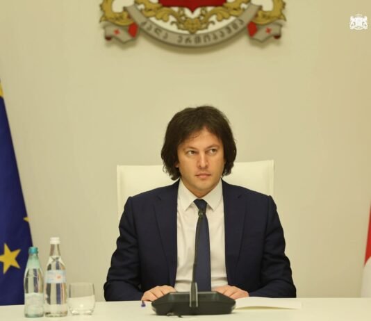 მთავრობა თბილისის სახელმწიფო უნივერსიტეტისა და საქართველოს ტექნიკური უნივერსიტეტის გაერთიანების გადაწყვეტილებას ცვლის