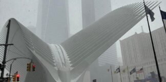 აშშ-ში ქარბუქის შედეგად დაღუპულთა რაოდენობა გაიზარდა