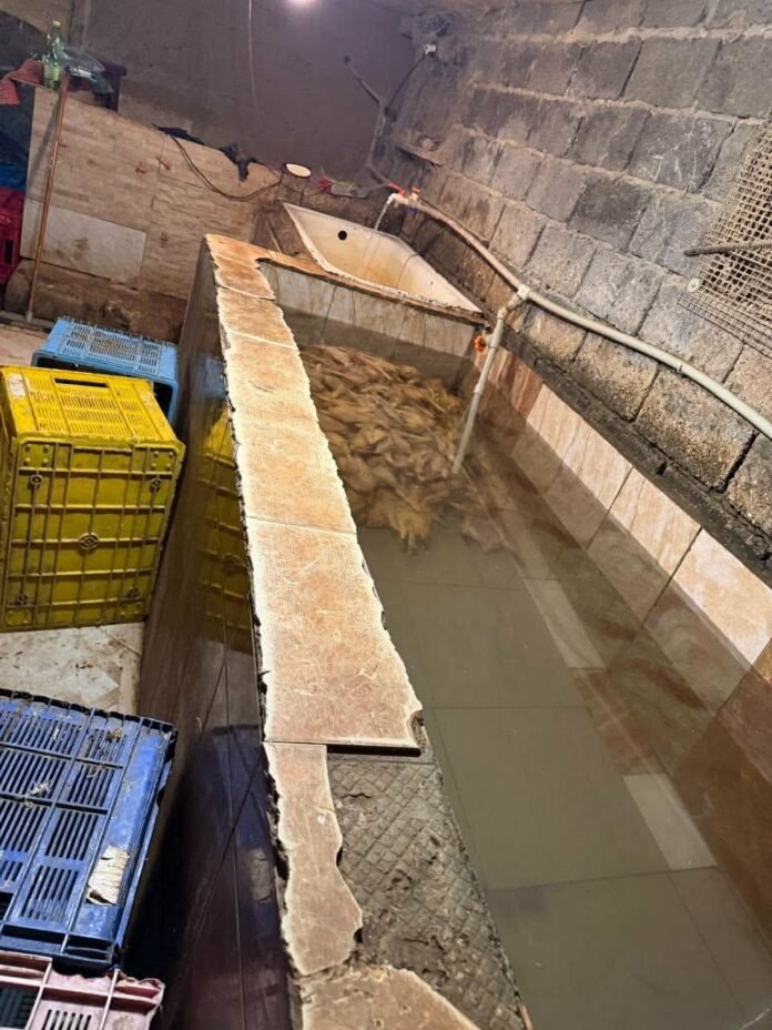 FB_IMG_1769764328914