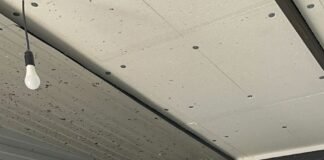 შიდა ქართლში არალეგალური სასაკლაოები და კვერცხის საწარმო გამოვლინდა