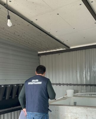 შიდა ქართლში არალეგალური სასაკლაოები და კვერცხის საწარმო გამოვლინდა