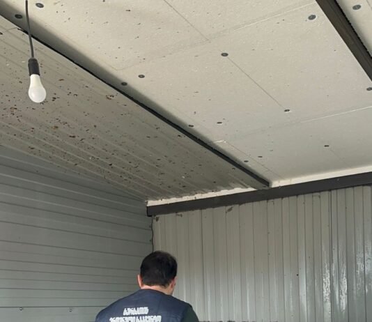 შიდა ქართლში არალეგალური სასაკლაოები და კვერცხის საწარმო გამოვლინდა