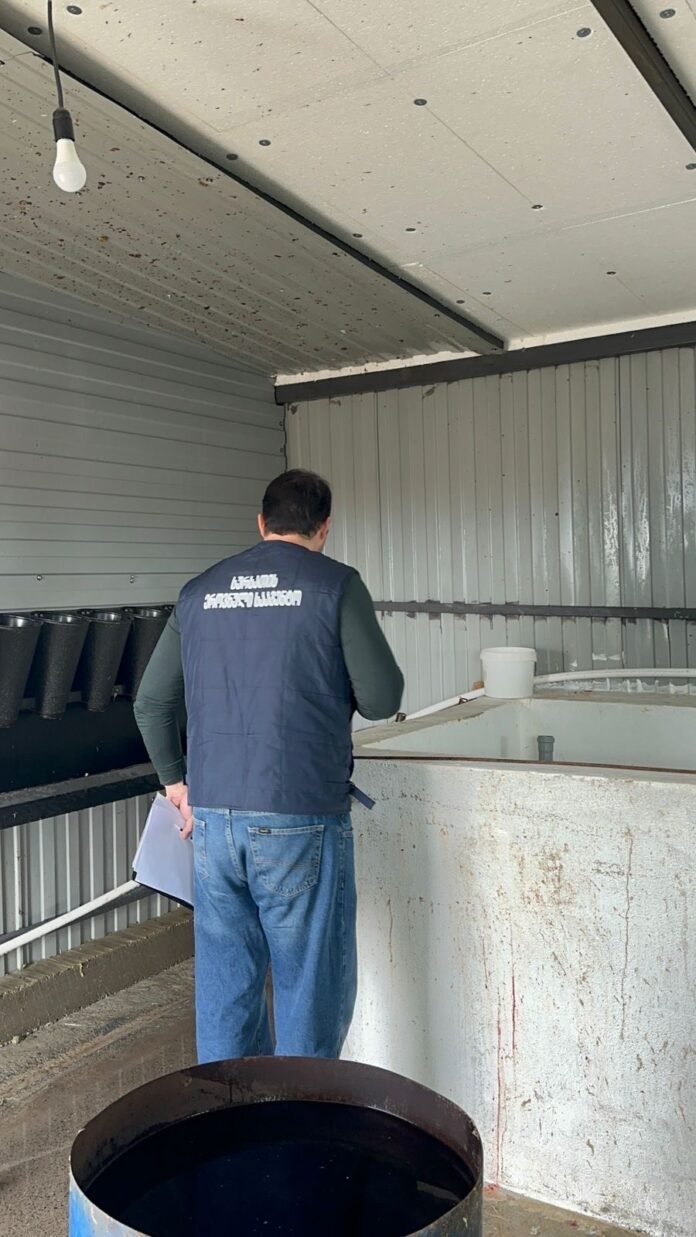 625095632_886603964156762_8325338032909976798_n