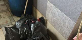 ოზურგეთში გამოვლინდა ორი ობიექტი, სადაც ხორცსა და ხორცპორდუქტებს კუსტარულად აწარმოებდნენ