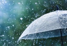 სინოპტიკოსების პროგნოზით, 26 თებერვლიდან 1-ელ მარტამდე საქართველოში მოსალოდნელია წვიმა, თოვლი, შესაძლებელია ქარის გაძლიერება და ზღვაზე 4-5-ბალიანი შტორმი