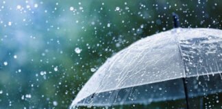 სინოპტიკოსების პროგნოზით, 26 თებერვლიდან 1-ელ მარტამდე საქართველოში მოსალოდნელია წვიმა, თოვლი, შესაძლებელია ქარის გაძლიერება და ზღვაზე 4-5-ბალიანი შტორმი