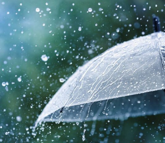 სინოპტიკოსების პროგნოზით, 26 თებერვლიდან 1-ელ მარტამდე საქართველოში მოსალოდნელია წვიმა, თოვლი, შესაძლებელია ქარის გაძლიერება და ზღვაზე 4-5-ბალიანი შტორმი