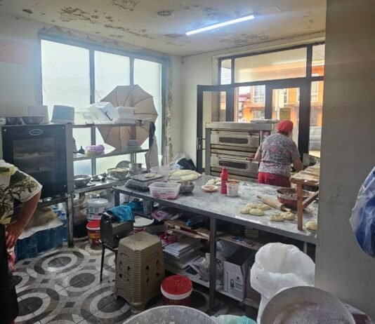 სურსათის ეროვნულმა სააგენტომ სამეგრელოში არალეგალურ კვების ობიექტს საქმიანობა შეუჩერა