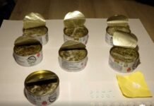 თბილისის აეროპორტში ირანის მოქალაქე დააკავეს, რომელსაც ჰერმეტულად დალუქული კონსერვის ქილებით განსაკუთრებით დიდი ოდენობით ნარკოტიკი შემოჰქონდა