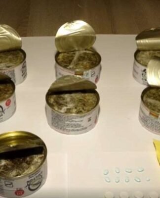 თბილისის აეროპორტში ირანის მოქალაქე დააკავეს, რომელსაც ჰერმეტულად დალუქული კონსერვის ქილებით განსაკუთრებით დიდი ოდენობით ნარკოტიკი შემოჰქონდა