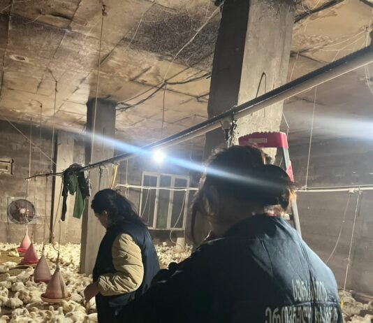 სურსათის ეროვნულმა სააგენტომ საწარმოო პროცესი კიდევ ორ ობიექტს შეუჩერა