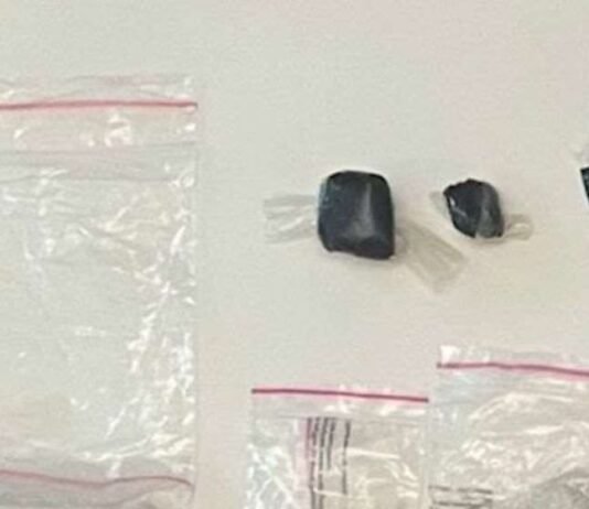 ქვემო ქართლის პოლიციამ განსაკუთრებით დიდი ოდენობით 1 კილოგრამზე მეტი ნარკოტიკი ამოიღო – დაკავებულია თურქმენეთის მოქალაქე