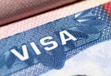 საქართველოში შესაძლოა ახალი – C5 კატეგორიის ორდინალური ვიზა დაინერგოს