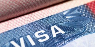 საქართველოში შესაძლოა ახალი – C5 კატეგორიის ორდინალური ვიზა დაინერგოს