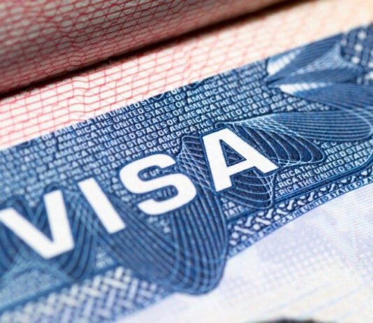 საქართველოში შესაძლოა ახალი – C5 კატეგორიის ორდინალური ვიზა დაინერგოს