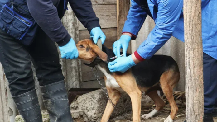 2026-04-14_16-42-54_916702