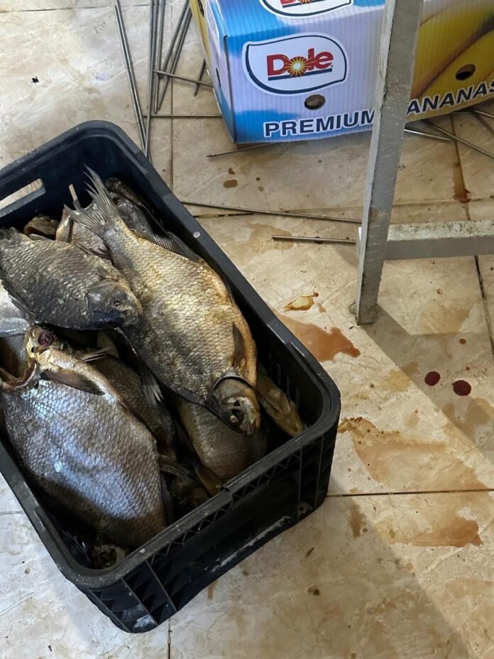 6f8dd7ea-9644-4dc0-9a9c-5a5fa8c11cbd