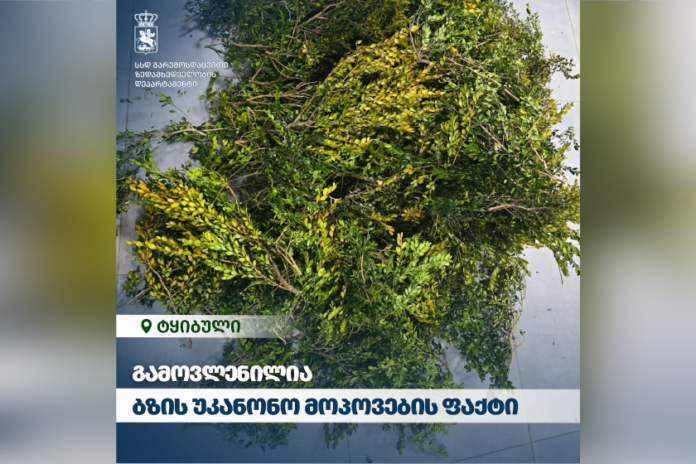 dataimagejpeg-2026-04-04t125043-476