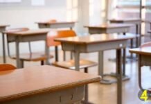 სწავლის მიტოვების მაჩვენებელი 2025 წელსაც მაღალია