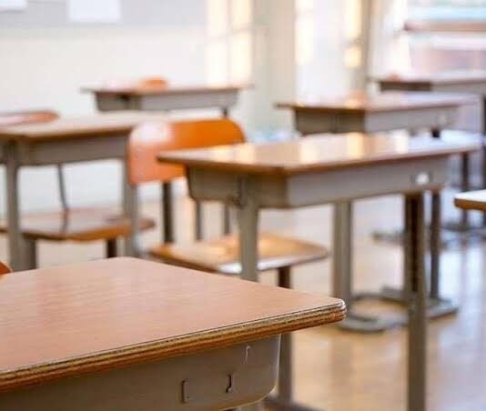 სწავლის მიტოვების მაჩვენებელი 2025 წელსაც მაღალია