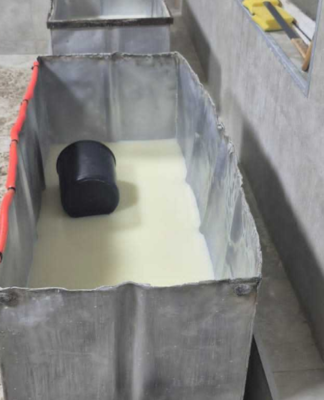 სურსათის ეროვნულმა სააგენტომ თერჯოლაში ყველის არალეგალური საწარმო გამოავლინა