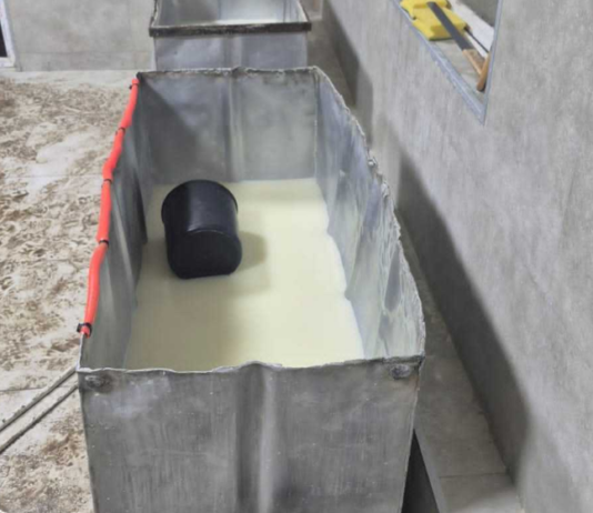 სურსათის ეროვნულმა სააგენტომ თერჯოლაში ყველის არალეგალური საწარმო გამოავლინა