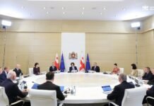 მთავრობის გადაწყვეტილებით, უმაღლესი საგანმანათლებლო დაწესებულება – საქართველოს დიპლომატიის აკადემია იქმნება