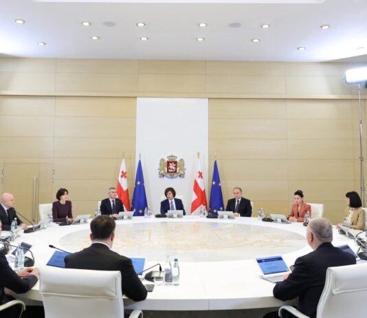 მთავრობის გადაწყვეტილებით, უმაღლესი საგანმანათლებლო დაწესებულება – საქართველოს დიპლომატიის აკადემია იქმნება