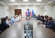 მიხეილ სარჯველაძე დიუშენით დაავადებული ბავშვების მშობლებს შეხვდა