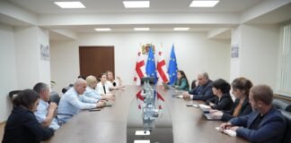 მიხეილ სარჯველაძე დიუშენით დაავადებული ბავშვების მშობლებს შეხვდა