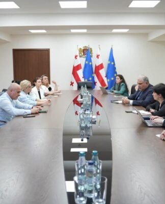 მიხეილ სარჯველაძე დიუშენით დაავადებული ბავშვების მშობლებს შეხვდა