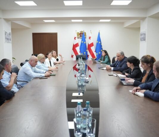 მიხეილ სარჯველაძე დიუშენით დაავადებული ბავშვების მშობლებს შეხვდა