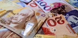 გრანტების მართვის სააგენტომ, რომლის გაუქმებასაც მთავრობა გეგმავს, 2025 წელს გამოცხადებულ კონკურსში 1 657 775 ლარით 17 ორგანიზაცია დააფინანსა, 2026 წელს კი სააგენტოსთვის ბიუჯეტიდან 1 650 000 ლარი გამოიყო
