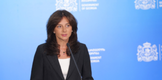 საქართველოს კულტურის მინისტრად მაია ბითაძე დაინიშნა