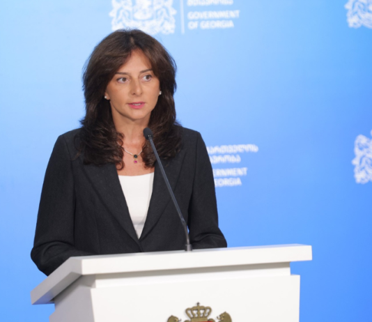 საქართველოს კულტურის მინისტრად მაია ბითაძე დაინიშნა